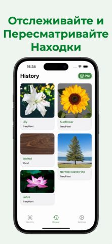 Сканер деревьев – WoodBot для iOS — скриншот 3