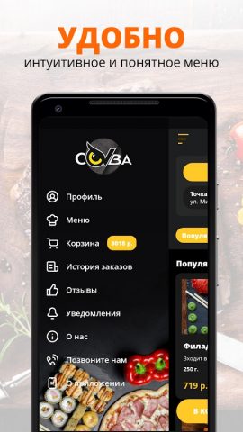 Сова | Сочи для Android — скриншот 2