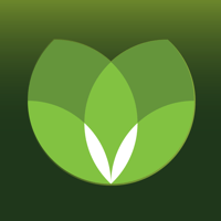 Табрис: бонусы и акции для iOS