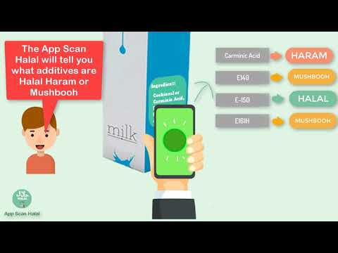 TagHalal | Халал Сканер для Android — официальный трейлер