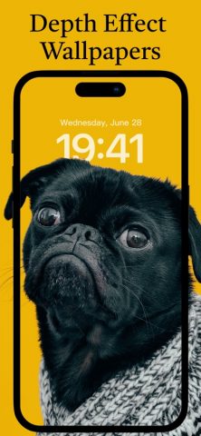 Themes © для iOS — скриншот 3