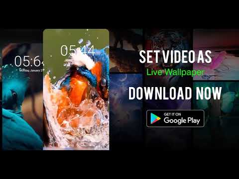 Video Live Wallpapers Maker — официальный трейлер