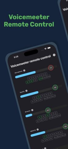Voicemeeter Remote Control для iOS — скриншот 1