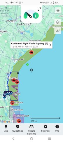 Whale Alert для Android — скриншот 1