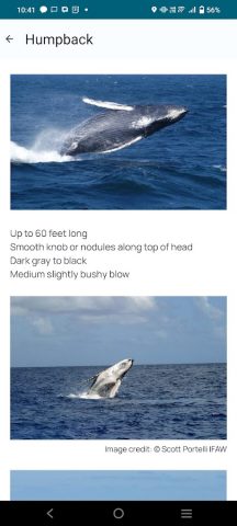 Whale Alert для Android — скриншот 2