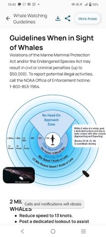 Whale Alert для Android — скриншот 3