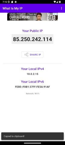What Is My IP для Android — скриншот 1