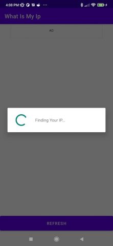 What Is My IP для Android — скриншот 2