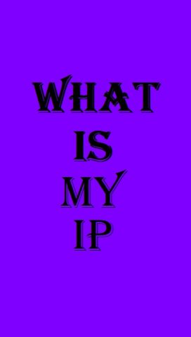 What Is My IP для Android — скриншот 3