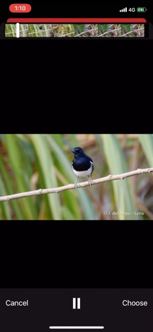 извлечь видео в аудио для iOS — официальный трейлер