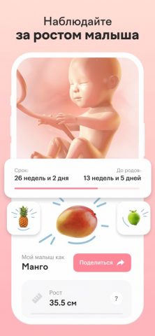 maam — календарь беременности для iOS — скриншот 2