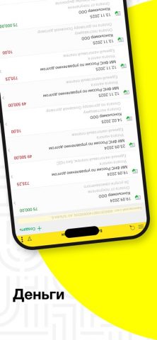 1С:Бухгалтерия для iOS — скриншот 3