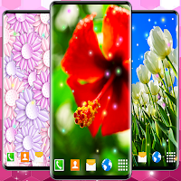 Animated Wallpaper For Xiaomi для Android