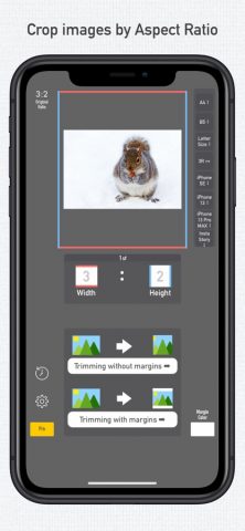 Aspect Cropper для iOS — скриншот 1