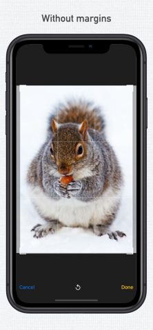 Aspect Cropper для iOS — скриншот 2