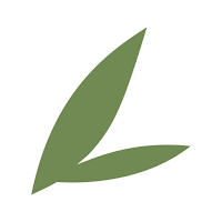 Bamboo-rolls | Кемерово для Android