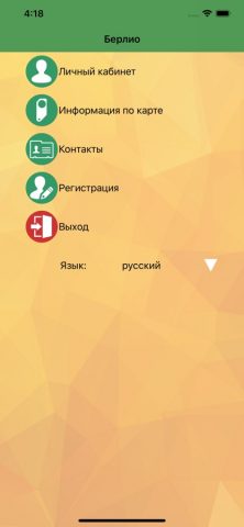 Berlio internet client для iOS — скриншот 1