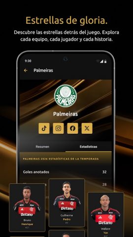 CONMEBOL Libertadores для Android — скриншот 5
