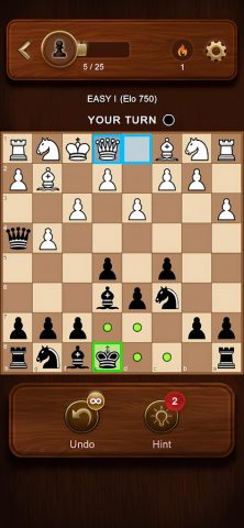 Chess Master: Board Game для Android — скриншот 1