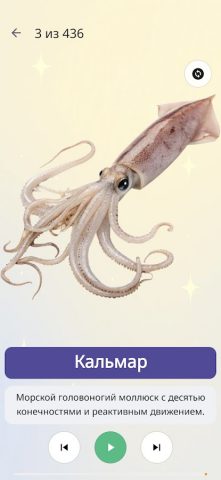 Детский Квиз для Android — скриншот 5