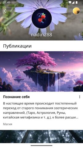 Дом Солнца для Android — скриншот 2