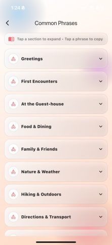 Egyptian Translator для iOS — скриншот 5