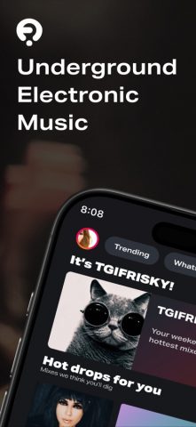 FRISKY: Electronic Music для iOS — скриншот 1