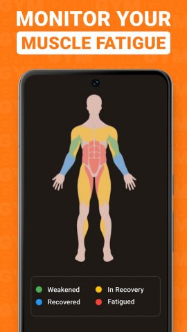Gym WP — Workout Tracker & Log для Android — скриншот 5