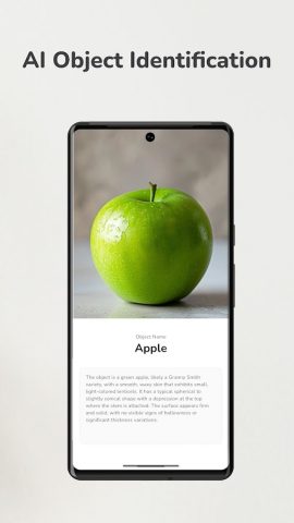 Identify Anything: Object ID для Android — скриншот 1