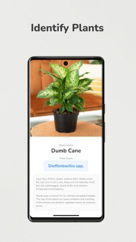 Identify Anything: Object ID для Android — скриншот 2