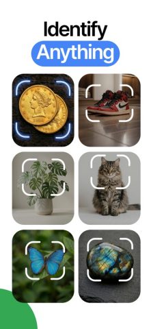 Fish Identifier Verify Finder для iOS — скриншот 1