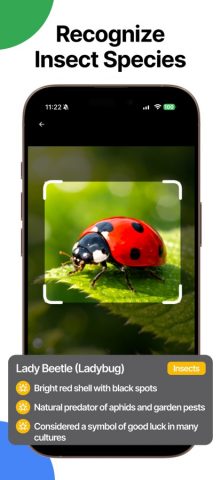 Fish Identifier Verify Finder для iOS — скриншот 5