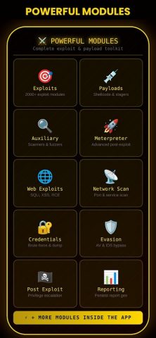 Master In Metasploit для Android — скриншот 2