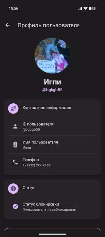 Матрешка мессенджер для Android — скриншот 4