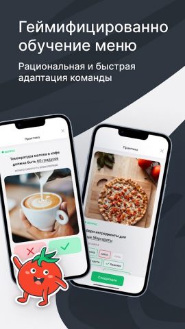 Mr. Tomato LXP для Android — скриншот 1