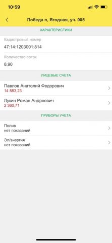 Председатель СНТ — скриншот 5