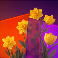 Премьер Зал Хорошо вместе для iOS