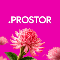 Prostor для Android
