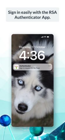 RSA Authenticator (SecurID) — скриншот 4