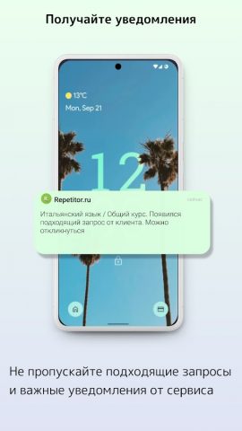 Repetitor.ru — Для репетиторов для Android — скриншот 3