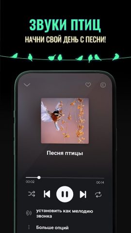 Рингтоны на Звонок для Андроид для Android — скриншот 5