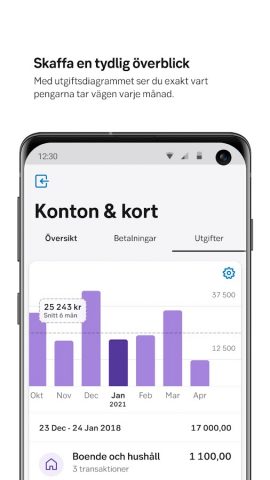 SEB для Android — скриншот 2