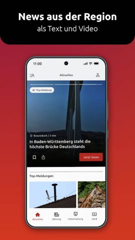 Schwäbische для Android — скриншот 2