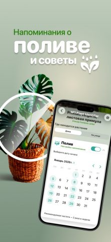 Сканер растений №1 для iOS — скриншот 4