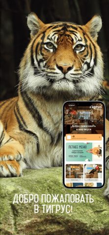 TIGRUS для Android — скриншот 1