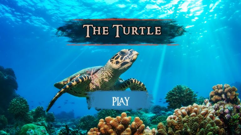 The Turtle для Android — скриншот 2