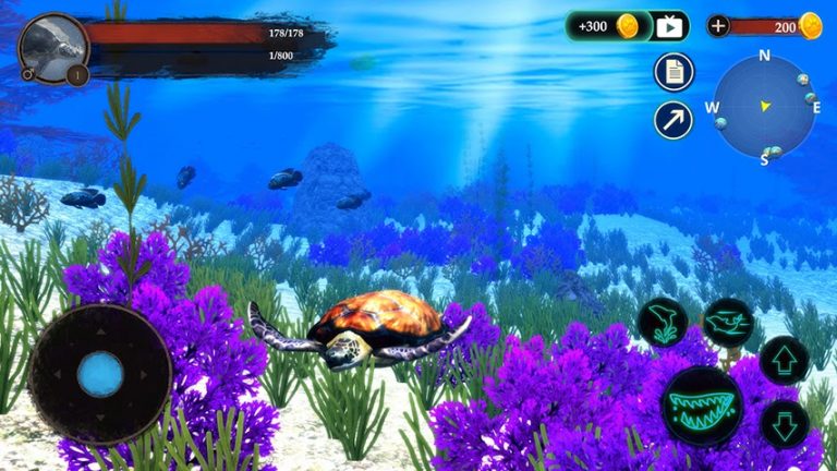The Turtle для Android — скриншот 3