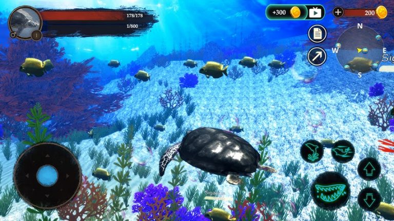 The Turtle для Android — скриншот 5
