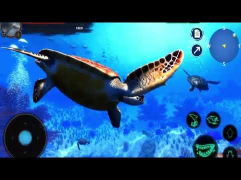 The Turtle для Android — официальный трейлер