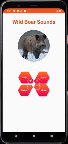 Звуки дикого кабана для Android — скриншот 2